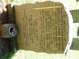 image of grave number 729552